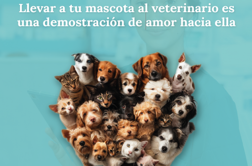 La nueva campaña de la OCV destaca la relevancia de los veterinarios de clínica de animales de compañía para garantizar la salud pública