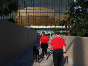 Nestlé lanza el proyecto “Pasear Juntos es Mejor”, para formar a estudiantes con discapacidad intelectual y ampliar sus oportunidades laborales