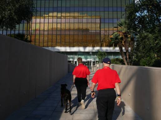 Nestlé lanza el proyecto “Pasear Juntos es Mejor”, para formar a estudiantes con discapacidad intelectual y ampliar sus oportunidades laborales