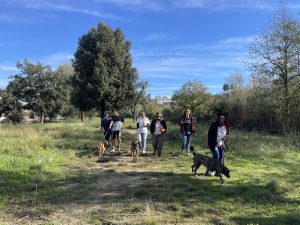 Calier impulsa nuevas acciones de voluntariado para fomentar la tenencia responsable de los animales de compañía