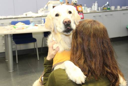 Salud mental: 5 beneficios que una mascota aporta a nuestro bienestar mental y emocional