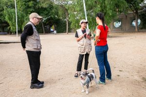 Barcelona repartirá bolsas y botellas a propietarios de perros para limpiar excrementos y orines