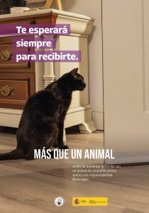 Derechos Sociales pide reflexionar antes de incorporar a animales a la familia: "Piensa que va a ser tu responsabilidad"