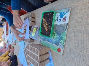 Aves, murciélagos e insectos protagonizan las jornadas medioambientales de la localidad ribagorzana de Montanuy