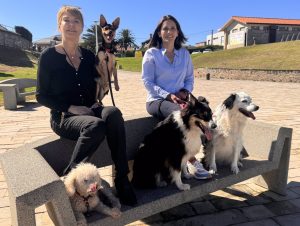 Bezana organiza el sábado su primer Dog Fest en la playa de San Juan de la Canal