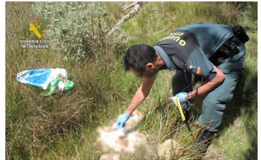 Dos investigados en Zamora por la muerte de dos perros, uno por ahogamiento con alambres y otro por inanición