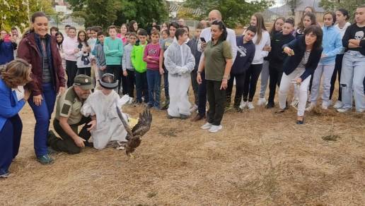 Liberan en Huelma un águila calzada y un búho real tras su recuperación en el CREA