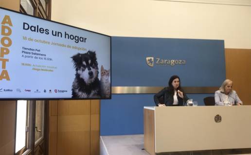 El Ayuntamiento de Zaragoza  promueve la adopción animal y la concienciación para no abandonar mascotas