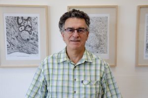 Félix Viana coordina un proyecto para estudiar las bases moleculares de la percepción del frío en animales