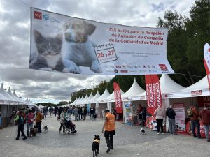 237 perros y 76 felinos encontraron nueva familia en el Salón de Adopción del pasado fin de semana