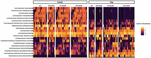 Un análisis comparativo basado en variantes compartidas de la secuencia de amplicones revela que la cohabitación influye en el intercambio de la microbiota intestinal entre humanos y perros
