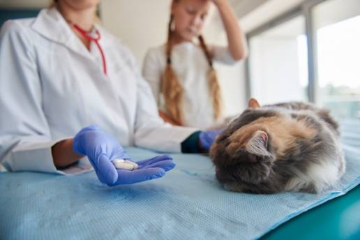 Efecto de la administración oral de gabapentina sobre la concentración alveolar mínima de isoflurano en gatos