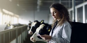La huelga de veterinarios que empieza hoy contará con el 100% de servicios mínimos en mataderos y en transformación