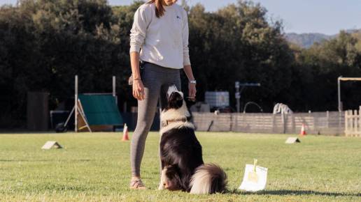 Rally Obedience: el deporte canino que llega a España  para fortalecer el vínculo entre perros y tutores
