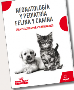 La importancia de las primeras etapas de la vida en la salud y en la enfermedad