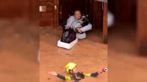 El Colegio de Veterinarios de Madrid muestra su solidaridad y apoyo a los veterinarios de Valencia