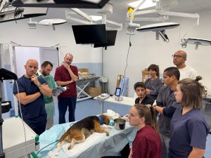 Laservet I-VET, equipo de elección para el Posgrado de Medicina Endoscópica