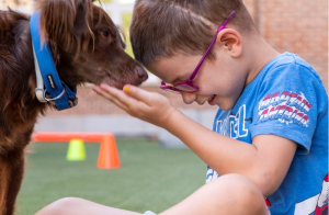 Cinco maneras en las que los animales benefician y transforman la salud física, mental y emocional de los niños en situación de vulnerabilidad 