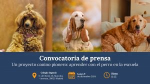 Aprender desde la escuela con un Golden, un Caniche Toy y un Basset Hound que un perro no es un juguete