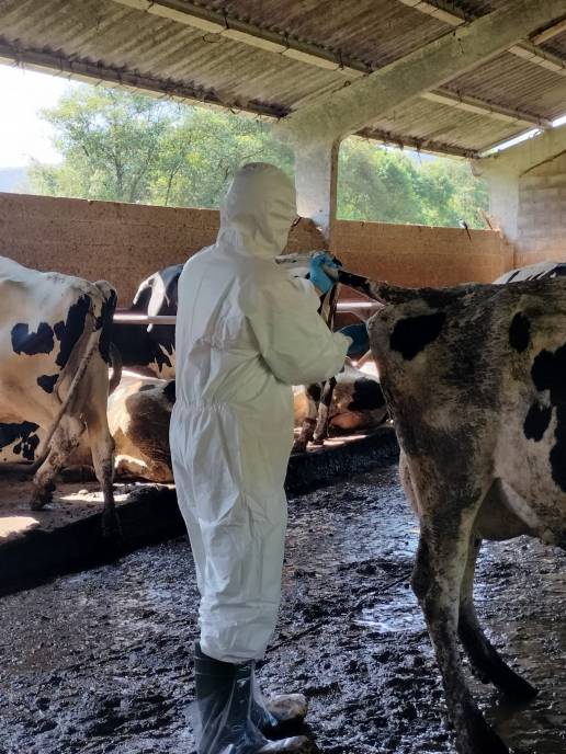El Sindicato Veterinario Profesional de Asturias denuncia al Principado ante Inspección de Trabajo por graves incumplimientos en prevención de riesgos laborales