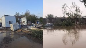 Protectoras de animales reclaman "ayuda urgente" para rescates, acogidas y reconstruir instalaciones
