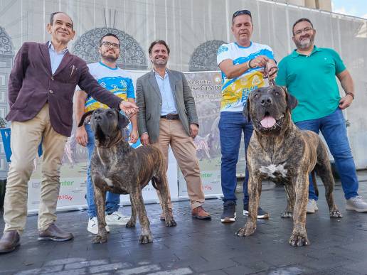 El Recinto Ferial de Tenerife reunirá a 150 perros en la 'Monográfica del Presa Canario'