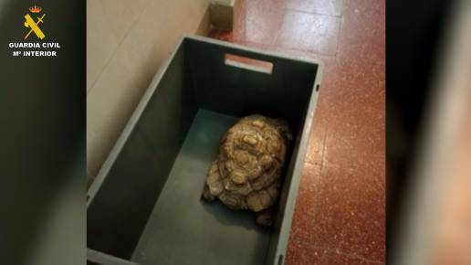Investigan a un hombre por tener un zoo ilegal en Santa Cruz de Tenerife con aves, anfibios, reptiles y peces