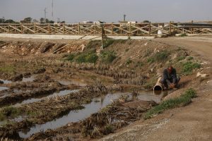 Más de 70 peritos y veterinarios evalúan ya los daños provocados por la DANA en cultivos y cabañas ganaderas