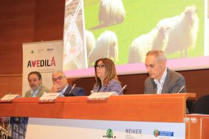 Profesionales de diagnóstico veterinario analizan en Bilbao cómo detectar enfermedad animal para reducir la transmisión