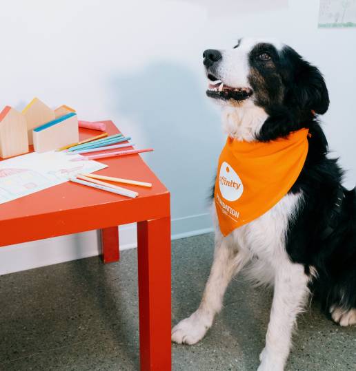 La Fundación Affinity ayuda con perros de terapia a 171 niños catalanes víctimas de abusos