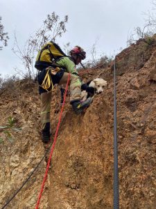 Bomberos rescatan a dos perros atrapados en la ladera de una mina abandonada en El Cerro del Andévalo