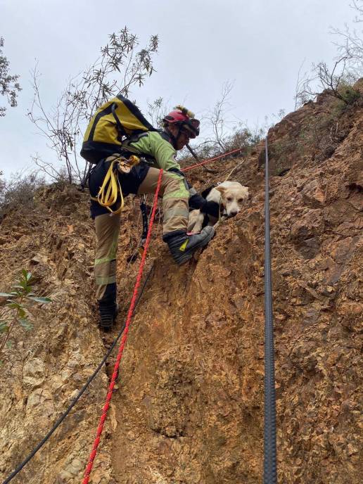 Bomberos rescatan a dos perros atrapados en la ladera de una mina abandonada en El Cerro del Andévalo