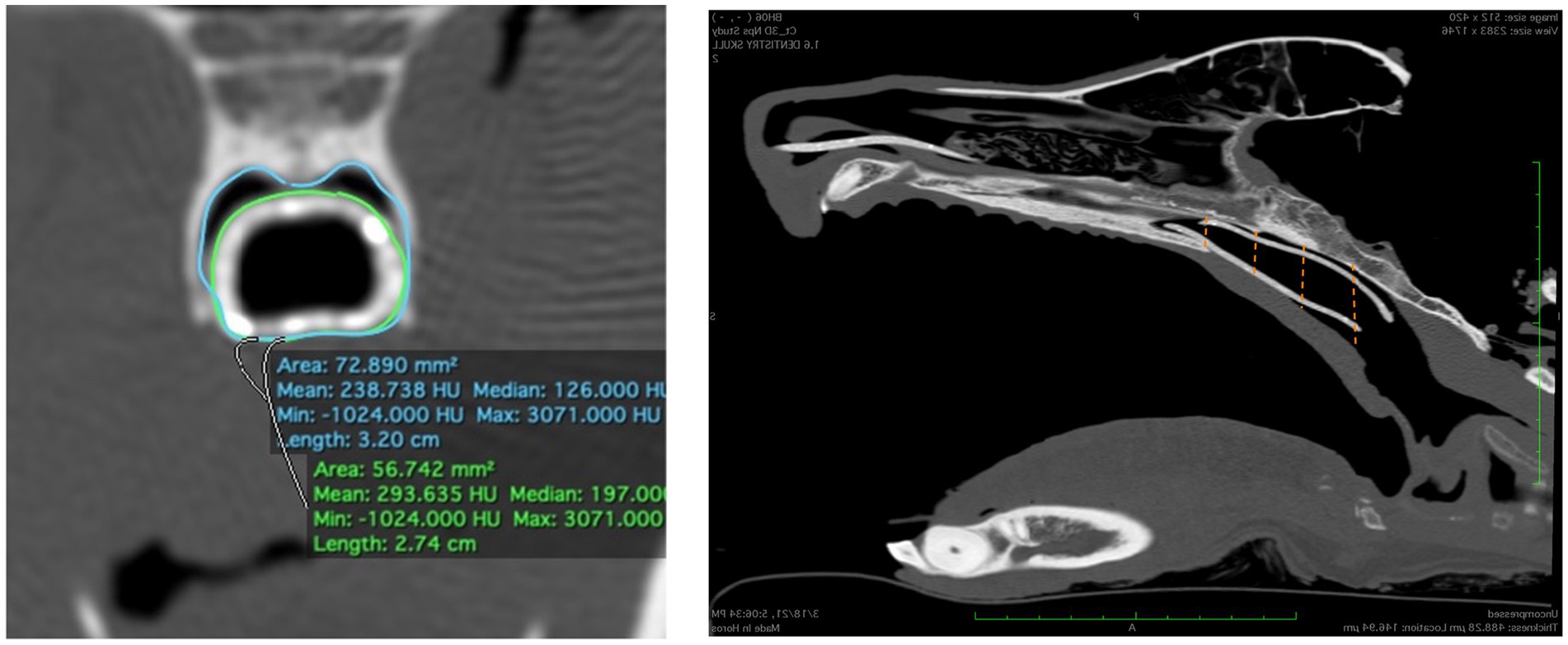 Stents nasofaríngeos impresos en 3D específicos para cada paciente en perros: un estudio piloto cadavérico