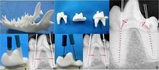 Evaluando el concepto de impresión tridimensional de endodoncia guiada en el perro