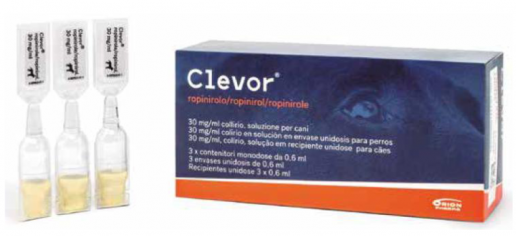 Las intoxicaciones domésticas en perros son más frecuentes durante las Fiestas Navideñas y CLEVOR® es un opción muy adecuada para las que requieren provocar el vómito