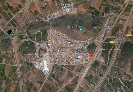 Dos perros se escapan en Almenara y lesionan a una vecina al intentar proteger a su mascota