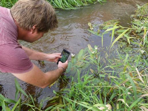 Un estudio de la UCO señala que las plataformas de ciencia ciudadana sirven para detectar especies invasoras