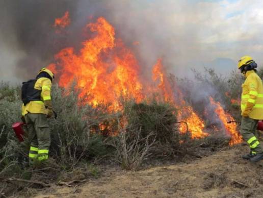 Las quemas prescritas en Doñana favorecen la población de conejo, principal presa del lince y el águila imperial
