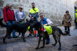 El Ayuntamiento de Almería invita a la adopción "responsable" de alguno de los 265 animales del Zoosanitario por Navidad
