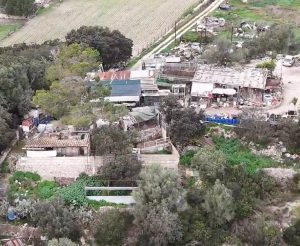 Progreso en Verde alerta de que perros, gatos, loros y gallos están "hacinados" en una finca de Llubí