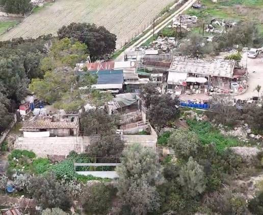 Progreso en Verde alerta de que perros, gatos, loros y gallos están 