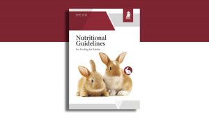 FEDIAF presenta las 'Guías nutricionales para conejos domésticos' actualizadas