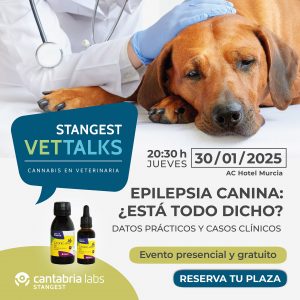 Llega la 5ª edición de Stangest Vet Talks sobre la epilepsia canina