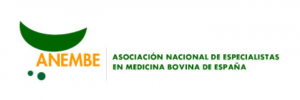 XXVII CONGRESO INTERNACIONAL ANEMBE - VITORIA – 28-30 MAYO 2025
