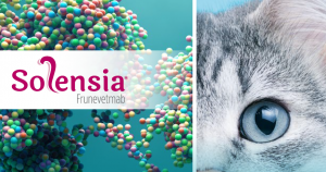 Diagnóstico de la osteoartrosis en medicina felina