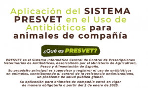 La aplicación de PRESVET en este primer año en animales de compañía será de transición y rodaje y el sistema sancionador se revisará y se reducirá