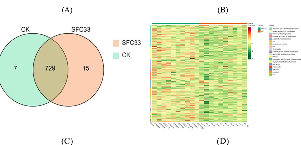Efectos de la alimentación con diferentes proporciones de iniciador a base de maíz en copos al vapor sobre el rendimiento del crecimiento, la inmunidad y el metabolismo sérico de terneros Simmental predestetados