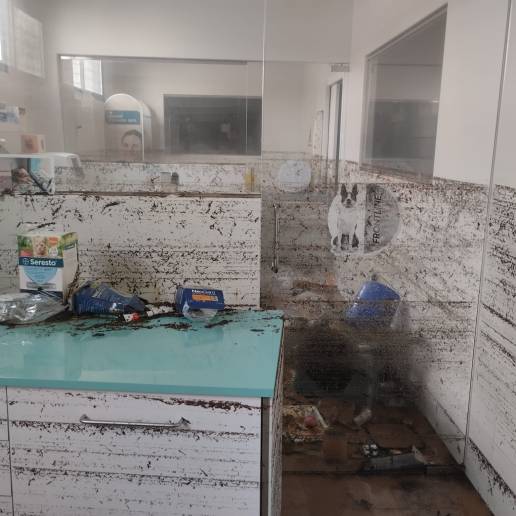 De los 27 centros veterinarios más dañados por la DANA, 19 han reabierto ya y otros 4 tienen previsto hacerlo en semanas