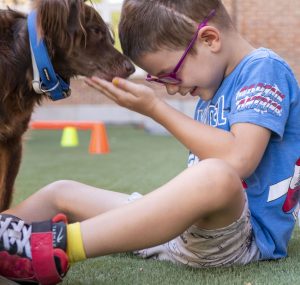 El poder de los perros en la lucha contra el Cáncer: transformando vidas con terapias asistidas