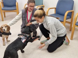 MútuaTerrassa y Nestlé Purina unen fuerzas para impulsar las terapias asistidas con perros en el Hospital Universitari MútuaTerrassa